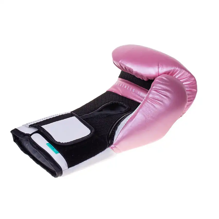 LUVA EVERLAST PRO STYLE V2
