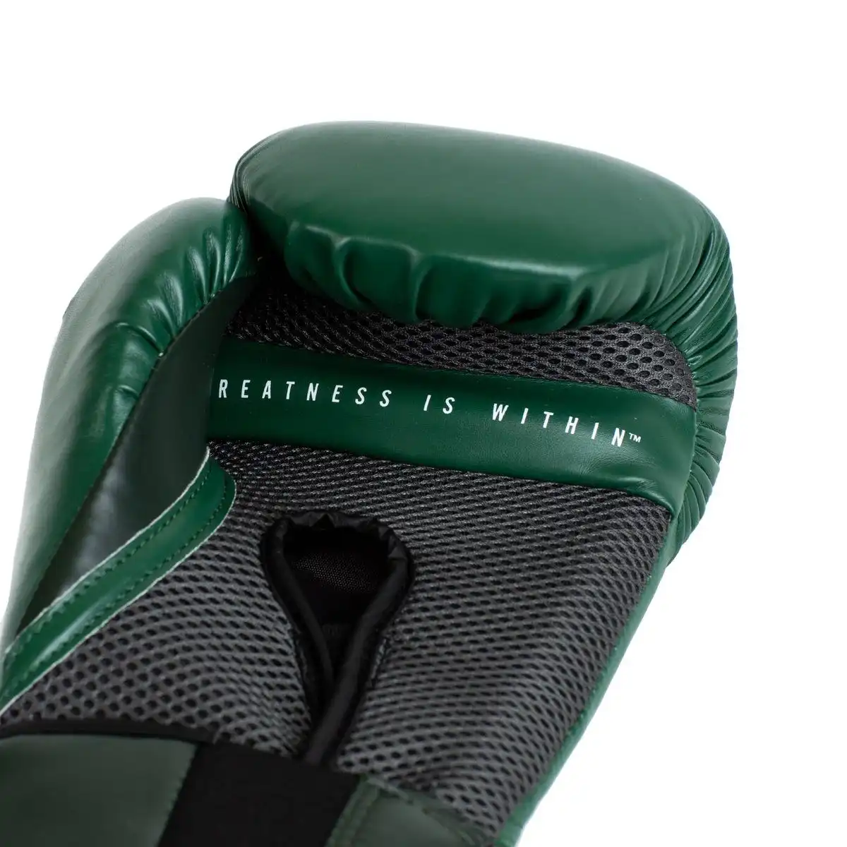 LUVA EVERLAST PRO STYLE V2