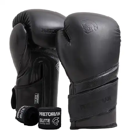 KIT LUVA PRETORIAN BOXE ELITE